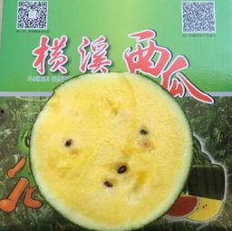 娱乐吃瓜图片图文素材高清,揭秘娱乐圈幕后故事